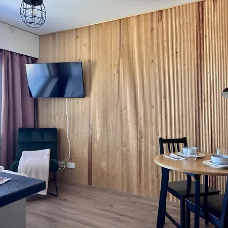 Borg Valtakatu, Downtown Floor Studio, Full Kitchen * Pori