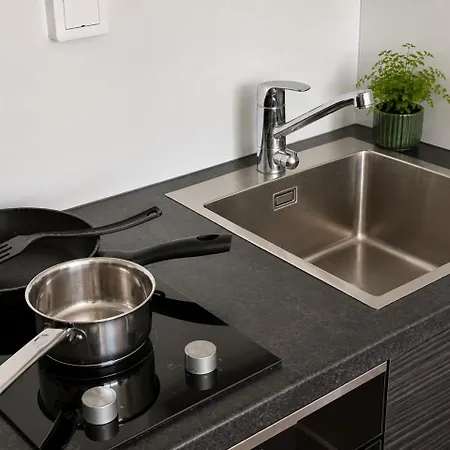 Borg Valtakatu, Downtown Floor Studio, Full Kitchen